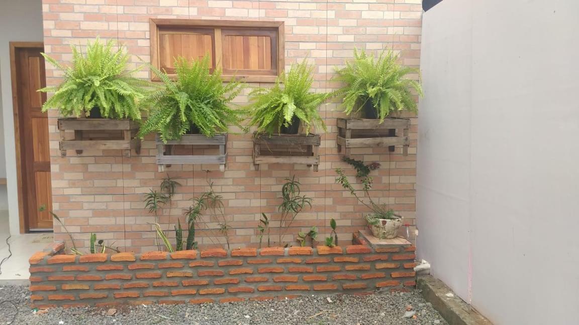 Hotel Pousada Das Rosas カロリナ エクステリア 写真